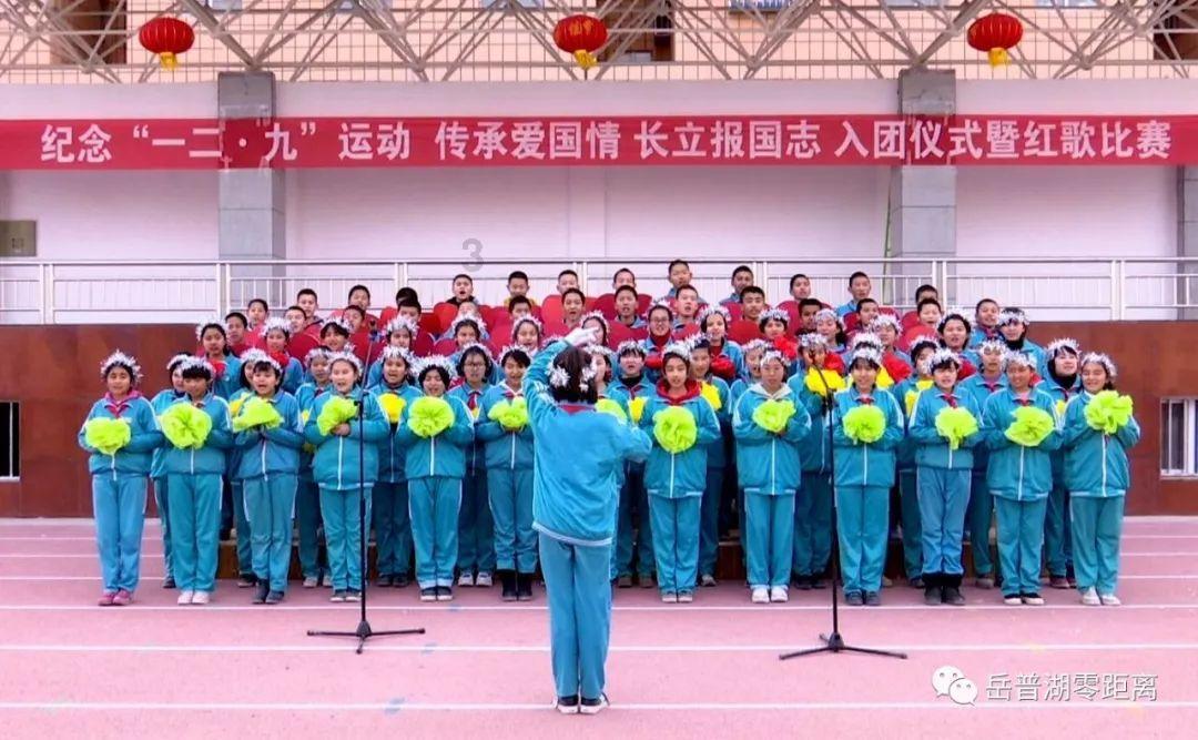 逃离森林湖畔